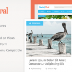 Download SociallyViral v2.1.10 – Viral WordPress Blog Theme