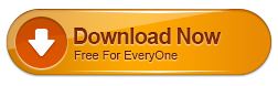 Internet Download Manager v6.25 Build 25