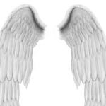 Angel Wings PSD file
