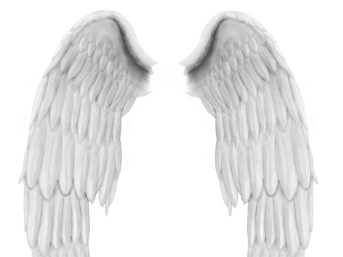 Angel Wings PSD File L