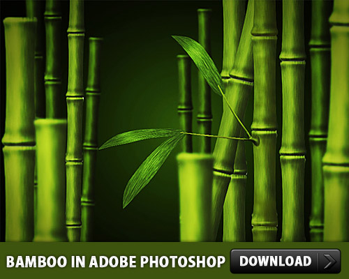 Bamboo In Adobe Photoshop L