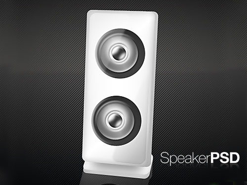 Customizable Speaker PSD L