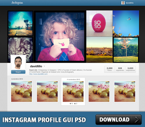 Instagram Profile GUI PSD L