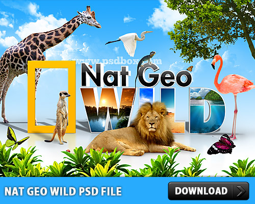 Nat Geo Wild PSD File L