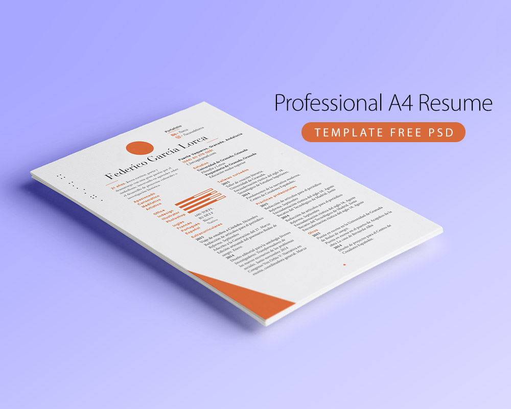 Professional A4 Resume Template Free PSD