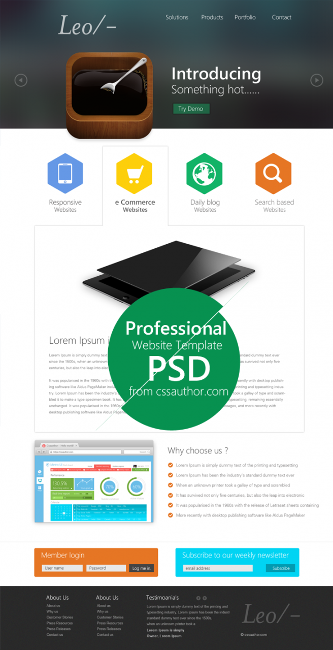 Professional Website Design Template PSD