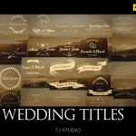 [Get] VideoHive Wedding Titles 17622074