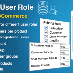 [Get] WooCommerce Prices By User Role v3.1 – Codecanyon